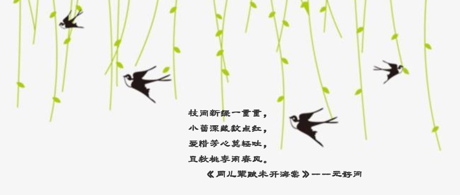 燕子.jpg